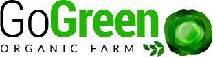 Just another WordPress site
