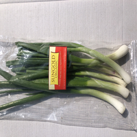 Organic Green Onions