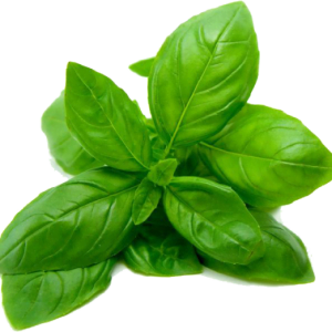 Organic Tulsi, Basil, 50 g